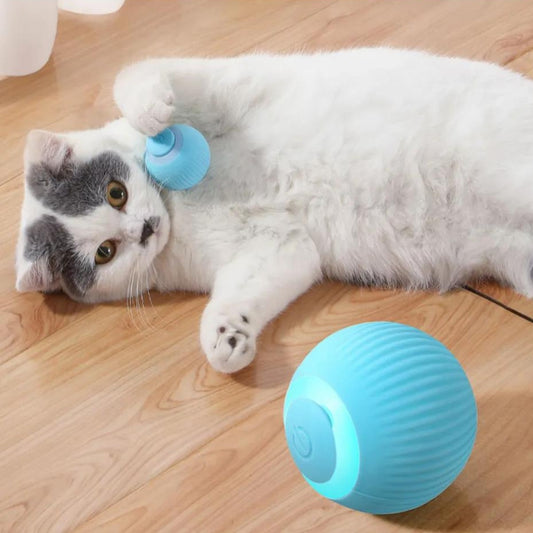 Smart Cat Ball™